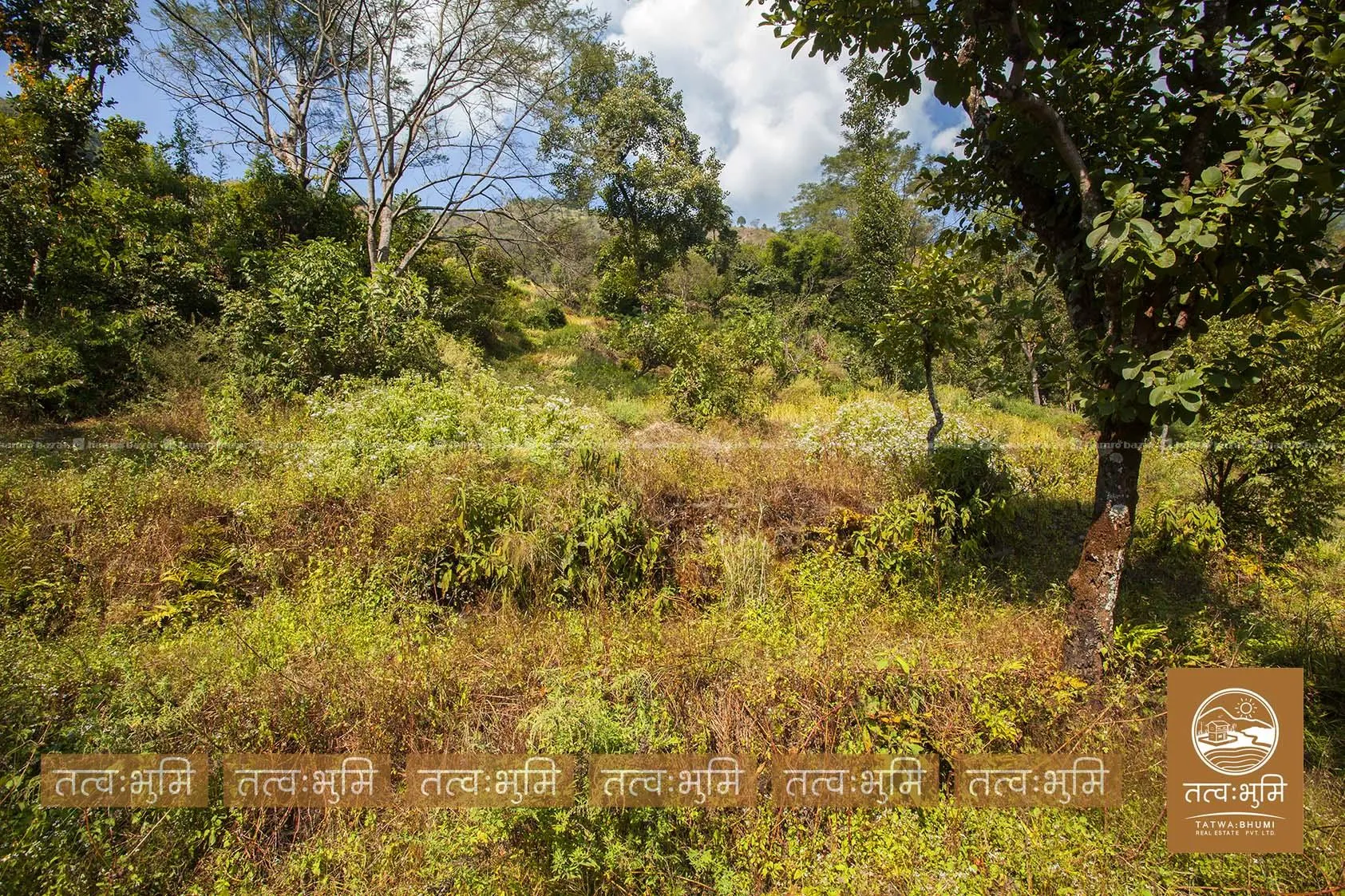 16 Ropani land for sale in Kalleri - Nuwakot. 6