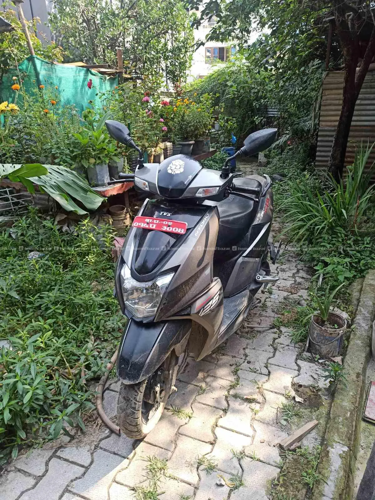 TVS NTORQ SCOOTER 2