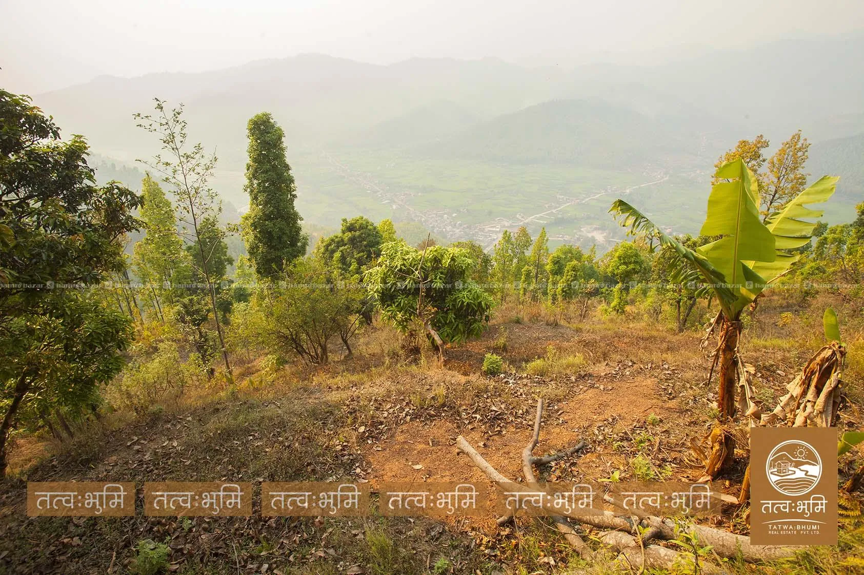 17 Ropani land for sale in Dhikure - Nuwakot. 4