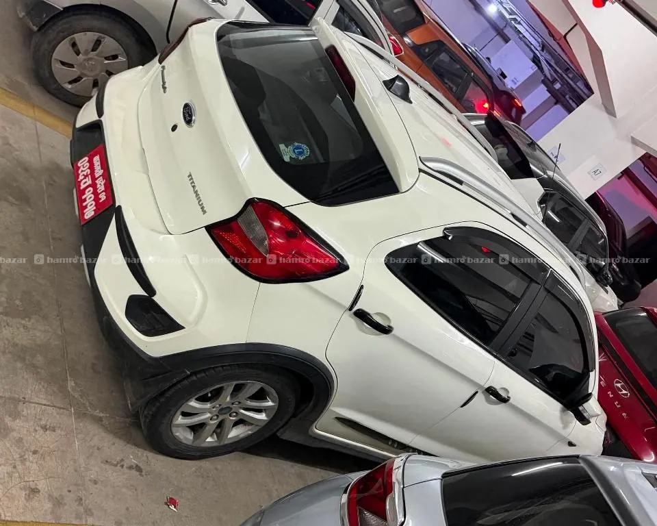 Ford Freestyle 2021 3