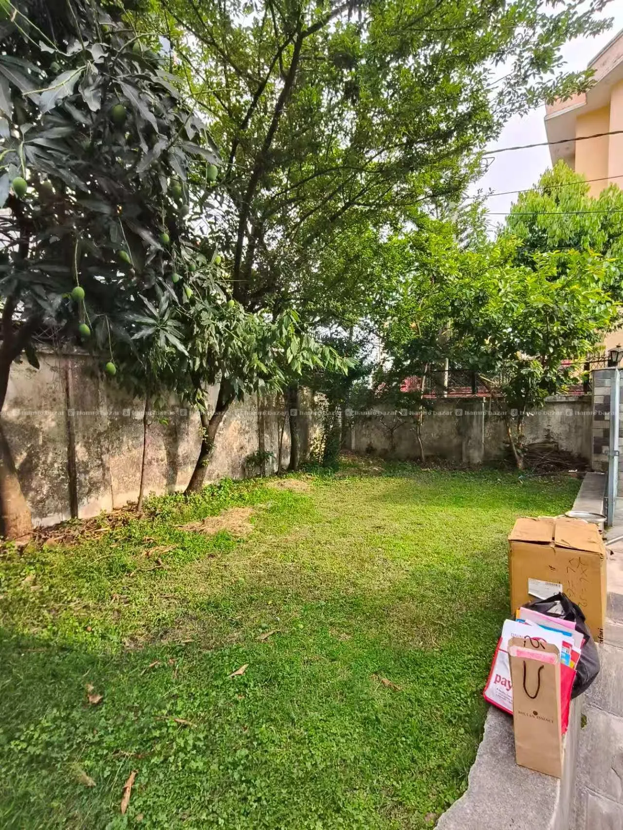 House on Rent 4