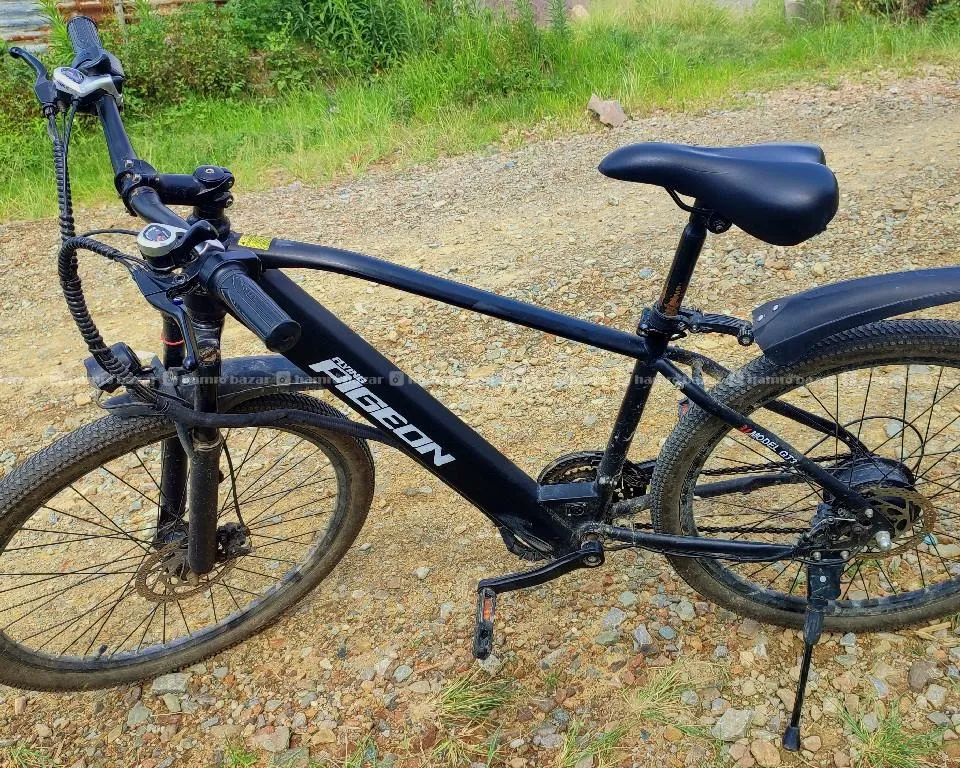 Flying Pigeon Electric Bike 2