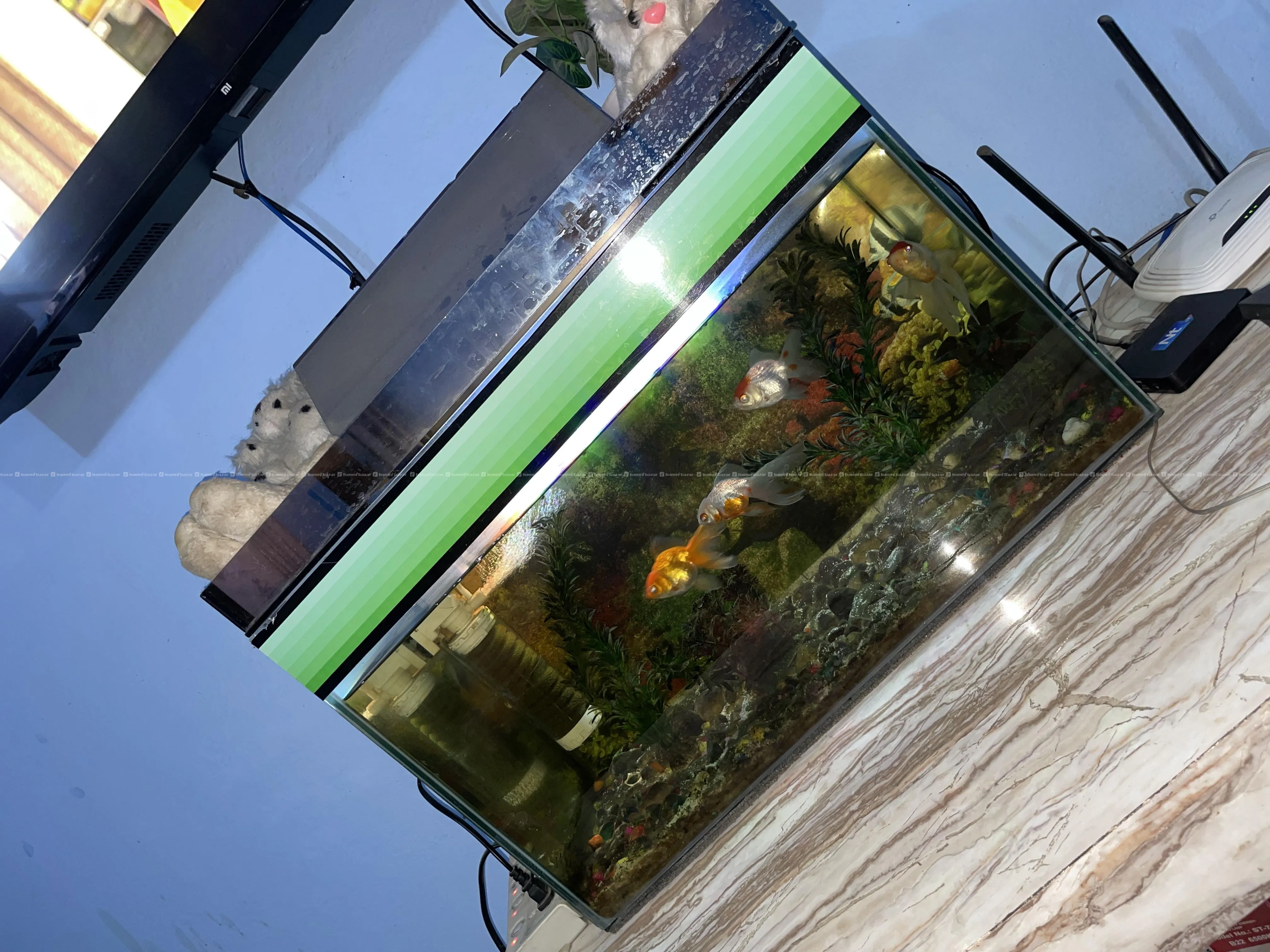 Aquarium On Sale 2