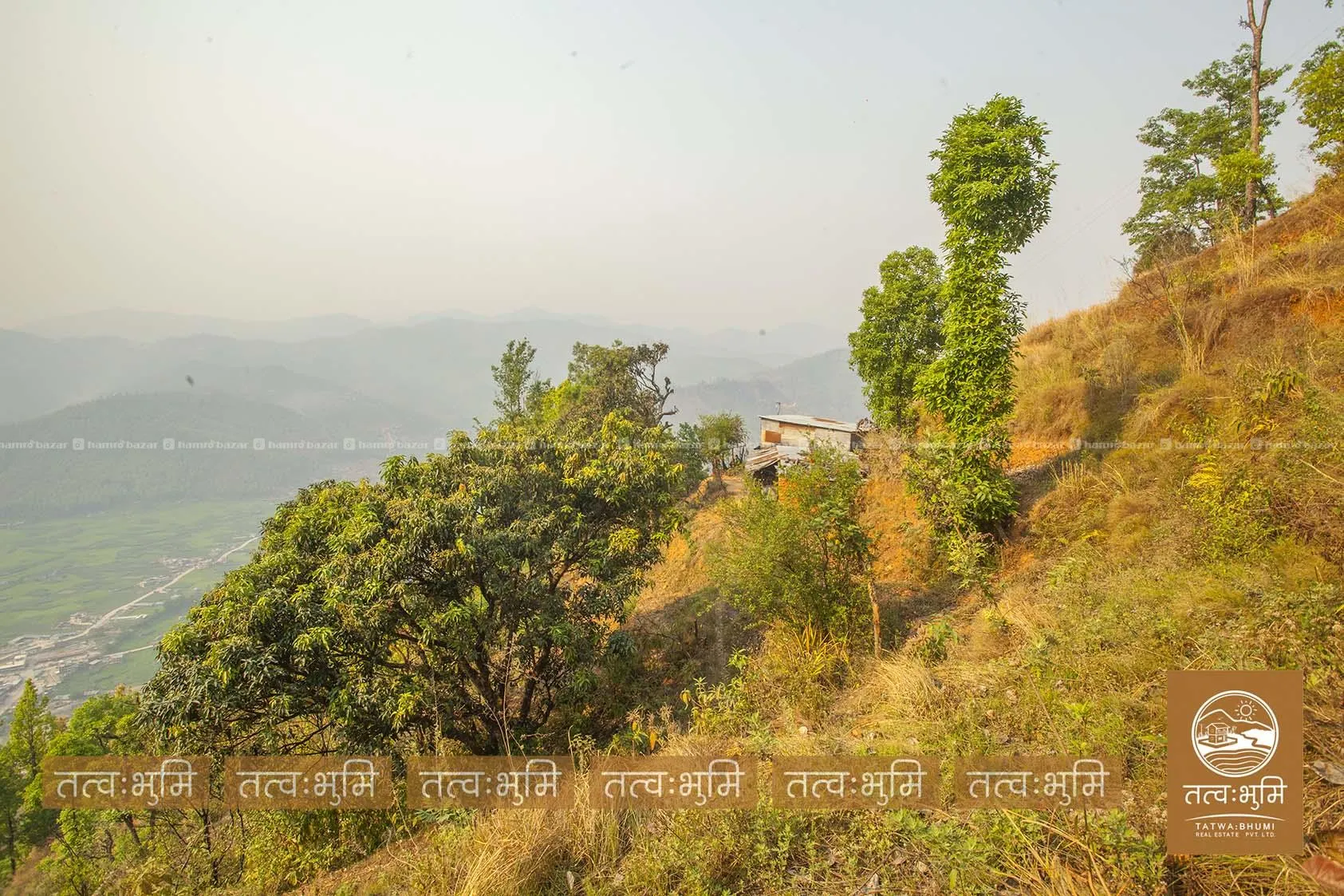 17 Ropani land for sale in Dhikure - Nuwakot. 8