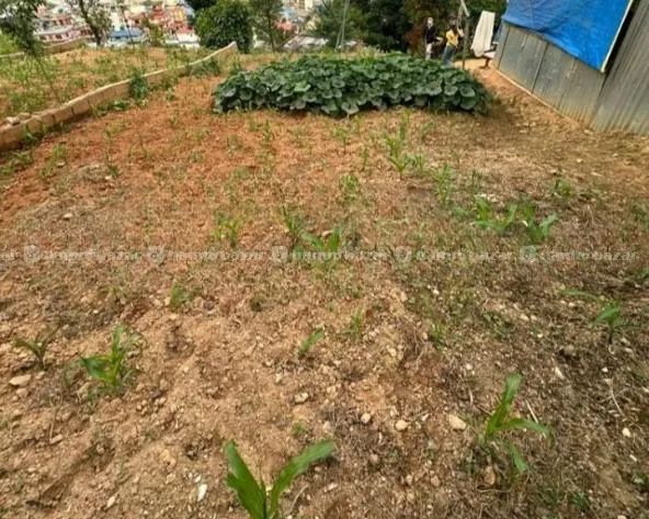 Land For Sale @ Dahachowk 3