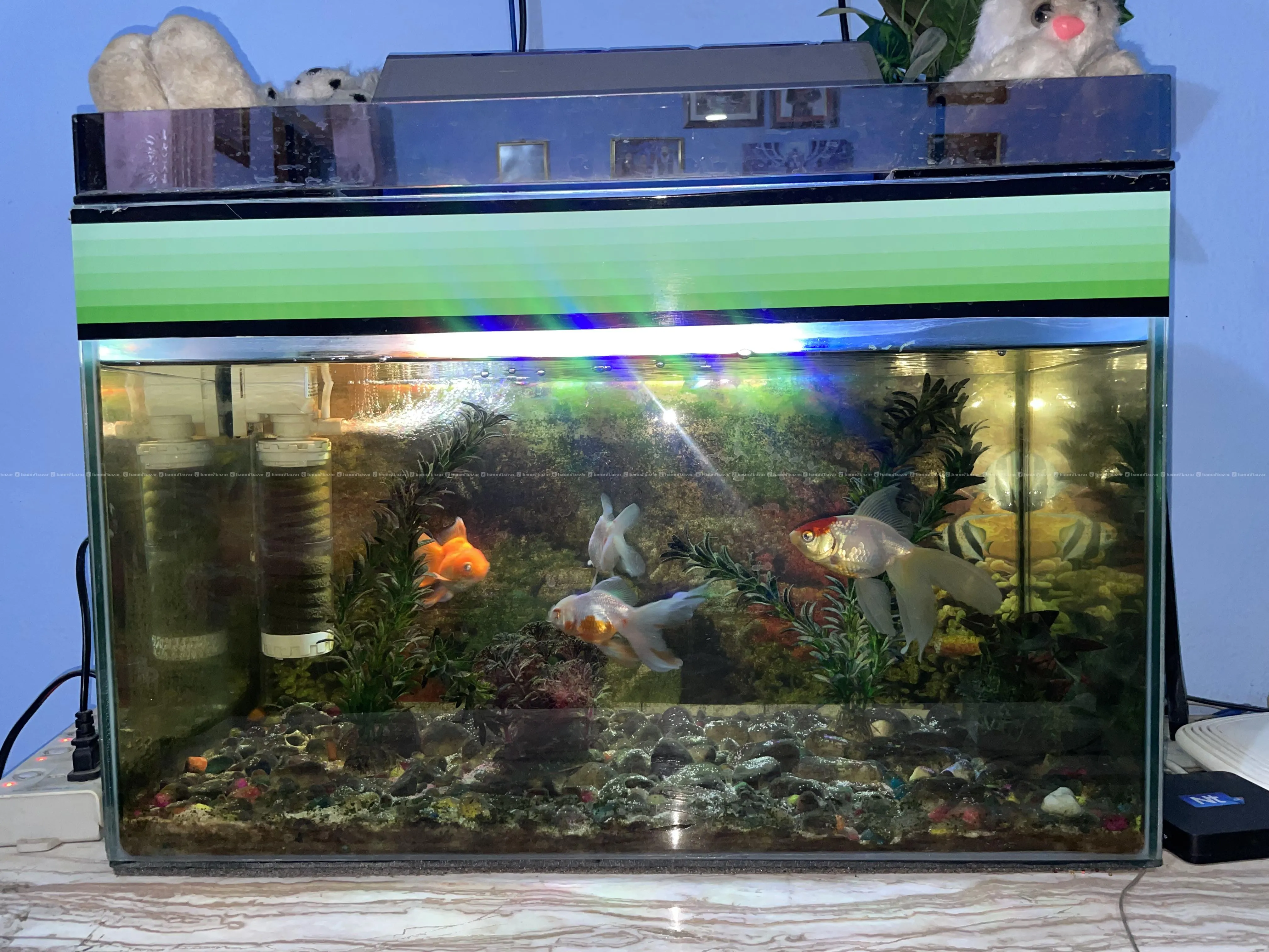 Aquarium On Sale 4