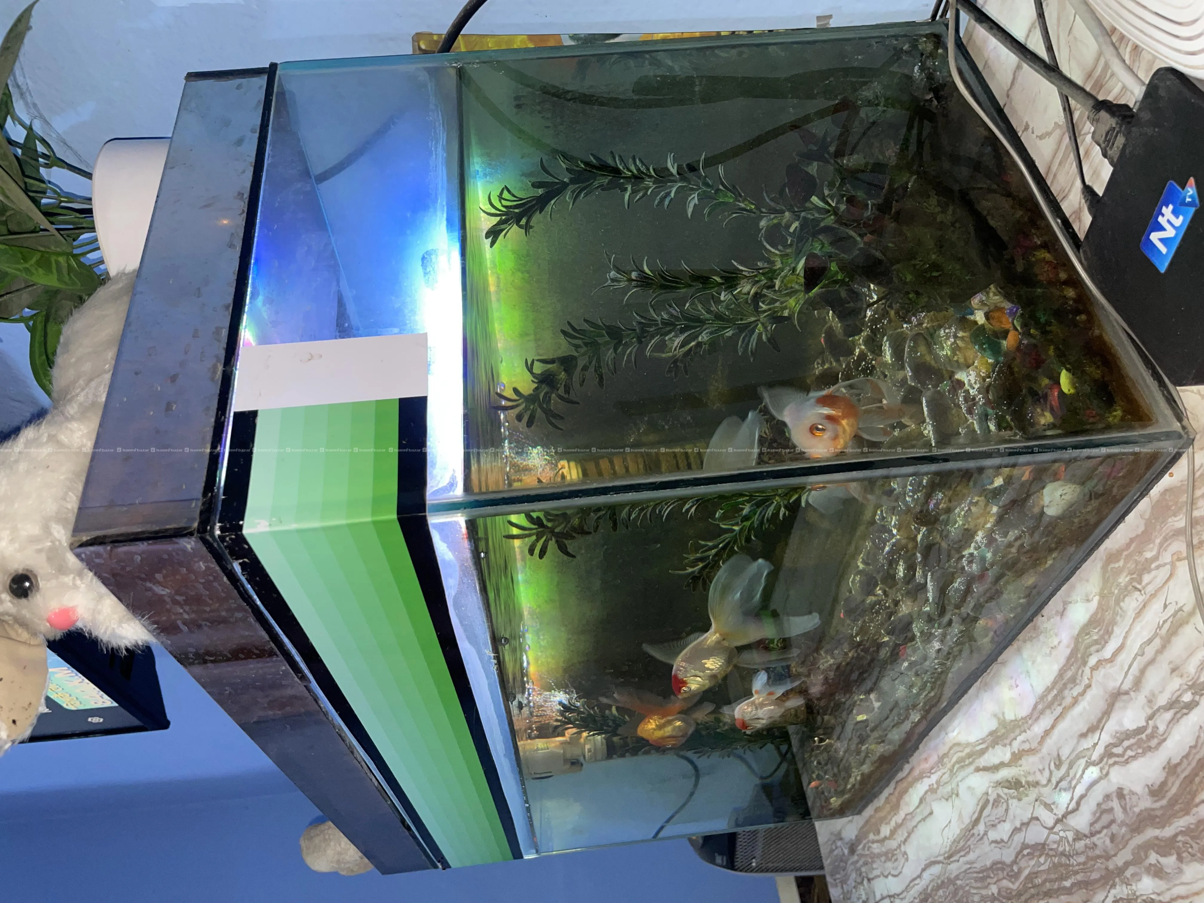 Aquarium On Sale 3