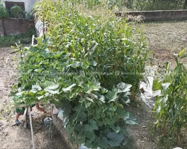 Land For Sale @ Dharmasthali, Tarkwshwor 2