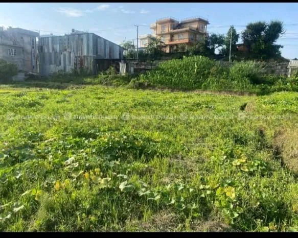 Land For Sale @ Dadhikot, Gamcha 2
