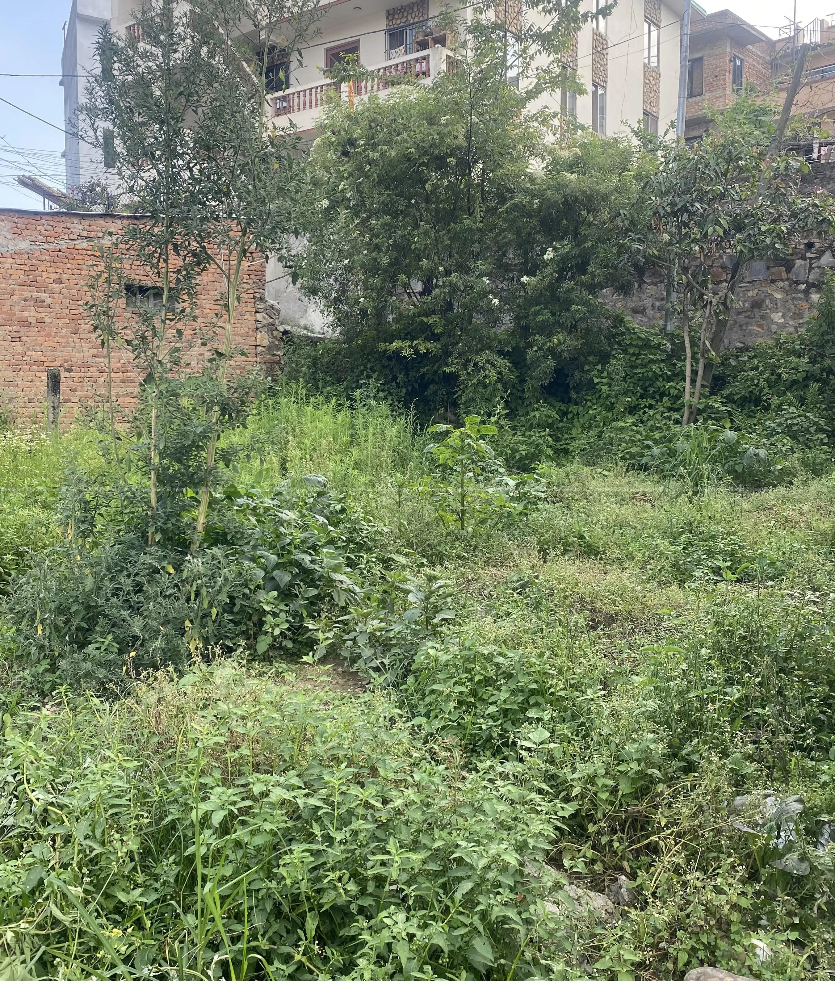 Residential Land for sale at Bhaisepati nakhhudole 5