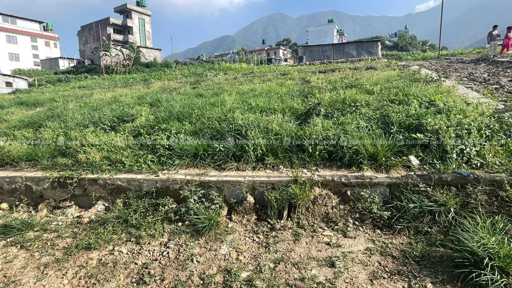 🏡 किर्तिपुर झुलपोखरीमा आकर्षक टुक्रा जग्गा बिक्री 5