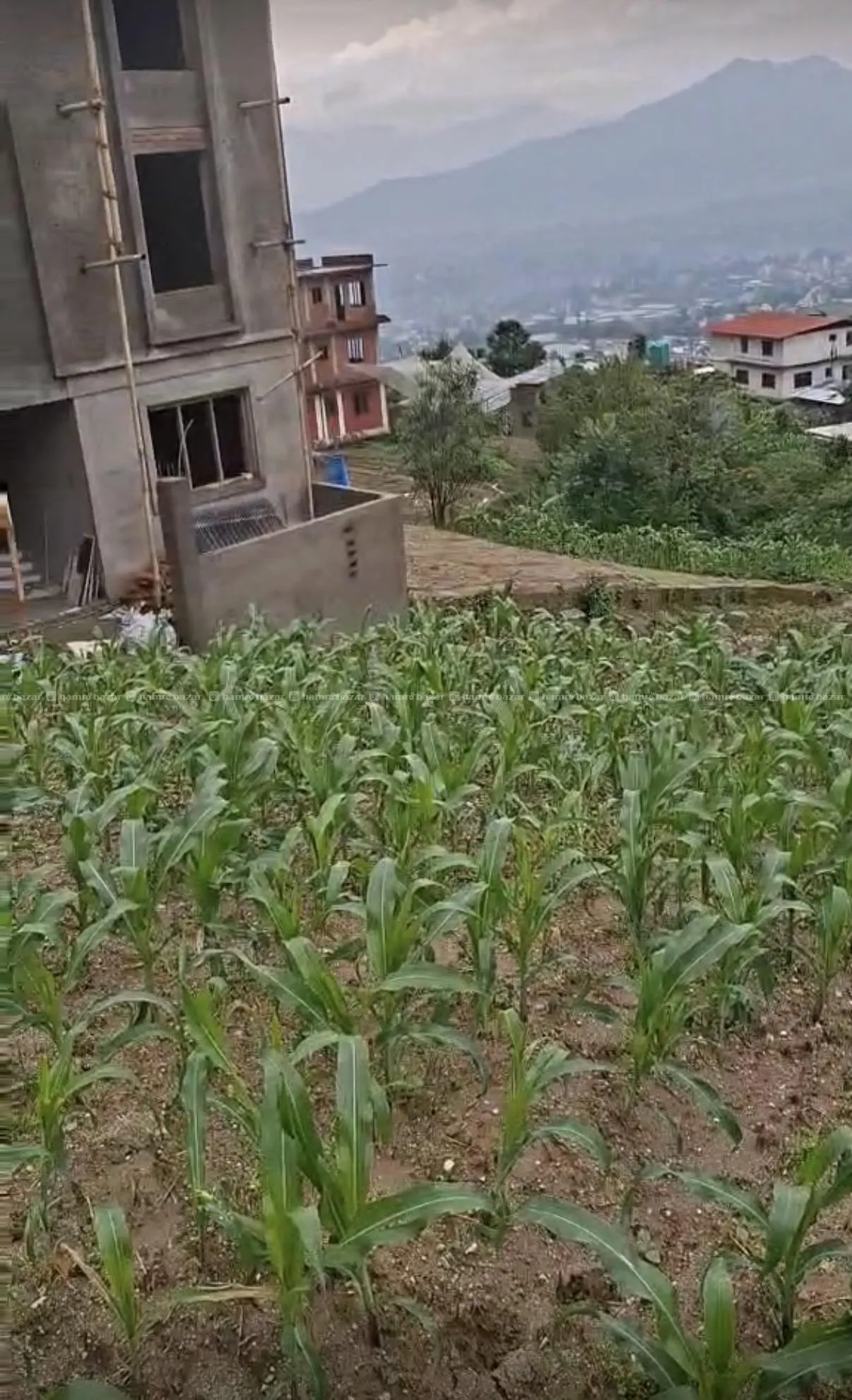 Land on Sale in Jhor Tokha near ward no 1 3