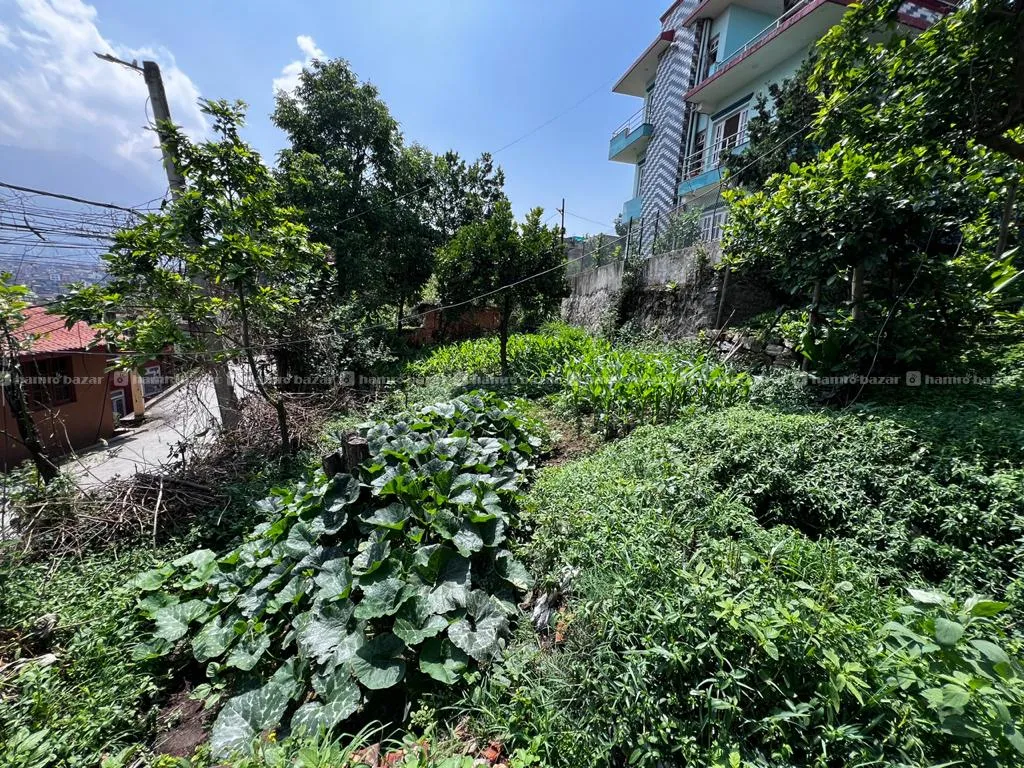 24 Aana Land On Sale At Naikap Kathmandu,18feet Ro 2