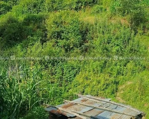Land For Sale @ Suryabinayak Bhaktapur 1