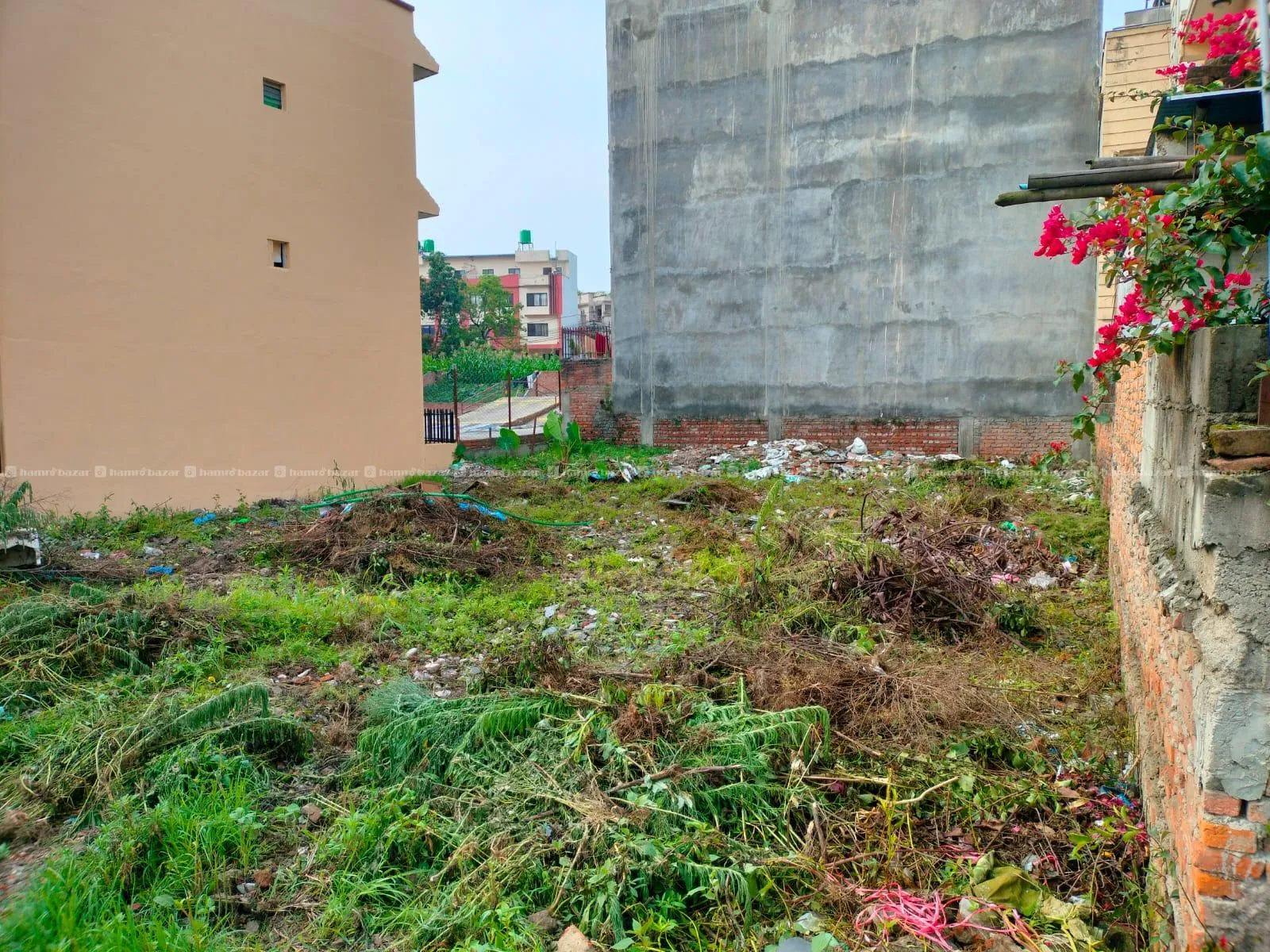 Residential Land For Sale in Dhapakhel, Lalitpur 3