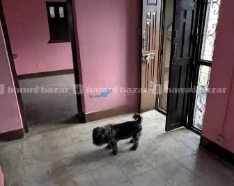 House For Sale @ Sanepa 2
