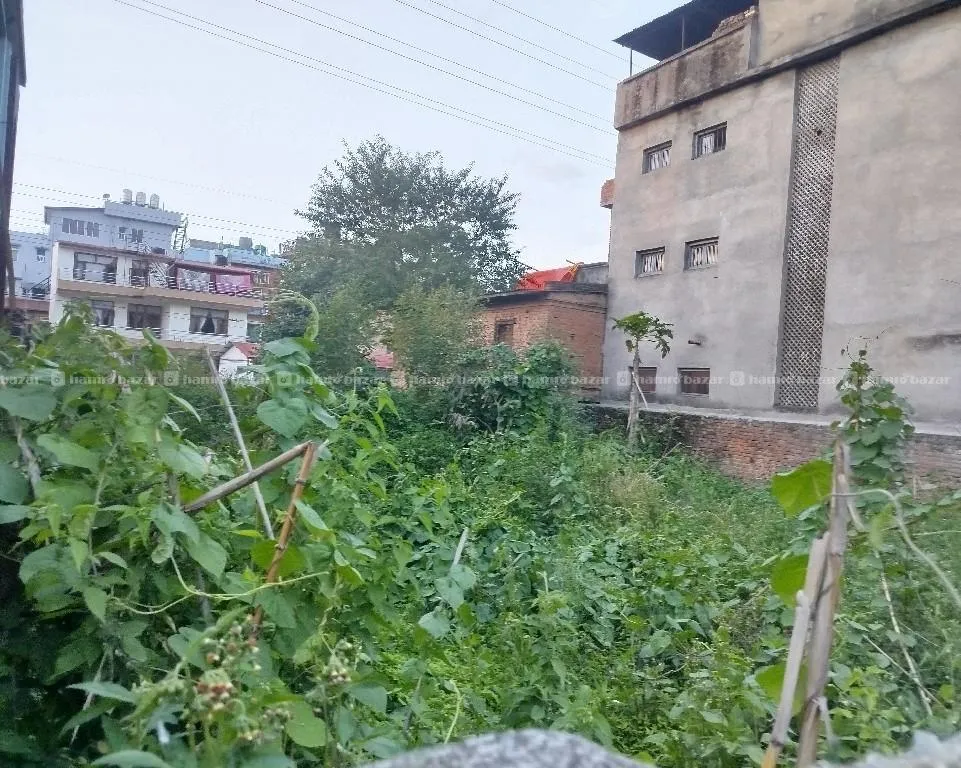 5Anna land on sale at Manbhawan 2