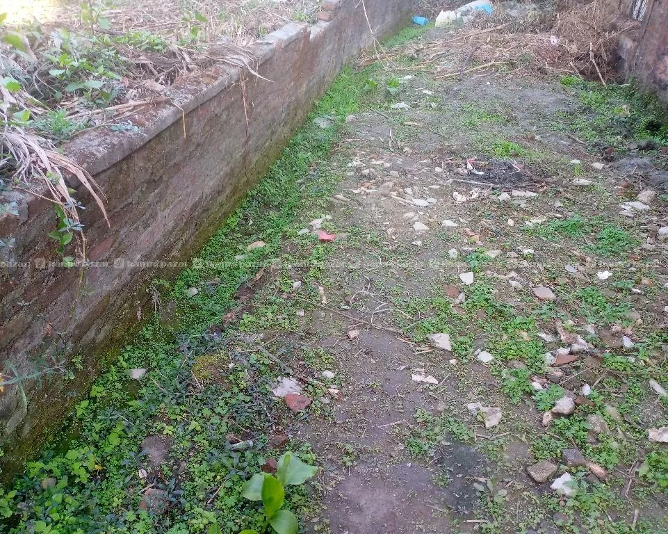 दक्षिण मोडा भको आकर्षक ७आना जग्गा तुरुन्त बिक्रीमा 2