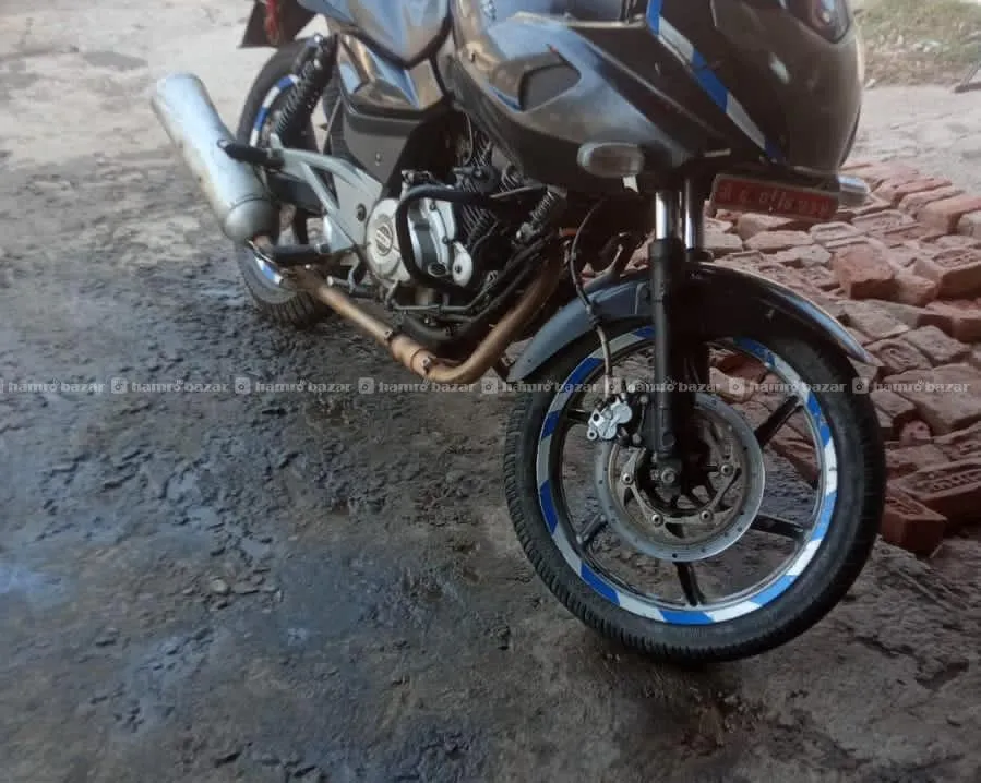 pulsar bike 220 2