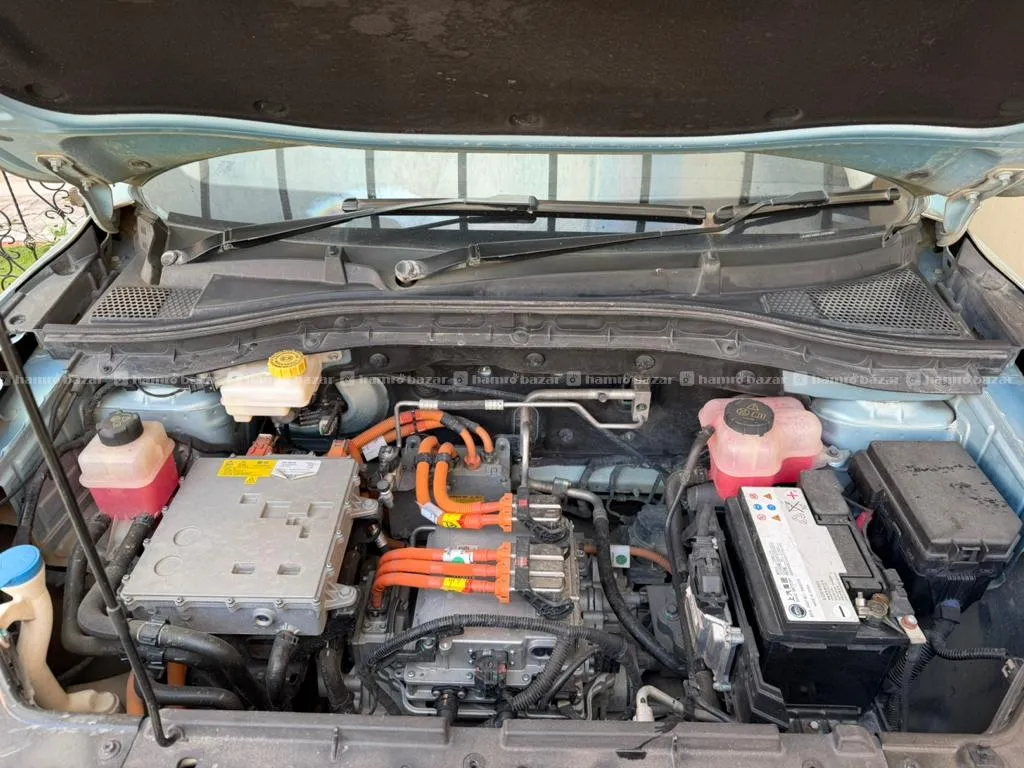 Mg Zs Ev 2020 Super Fresh 4