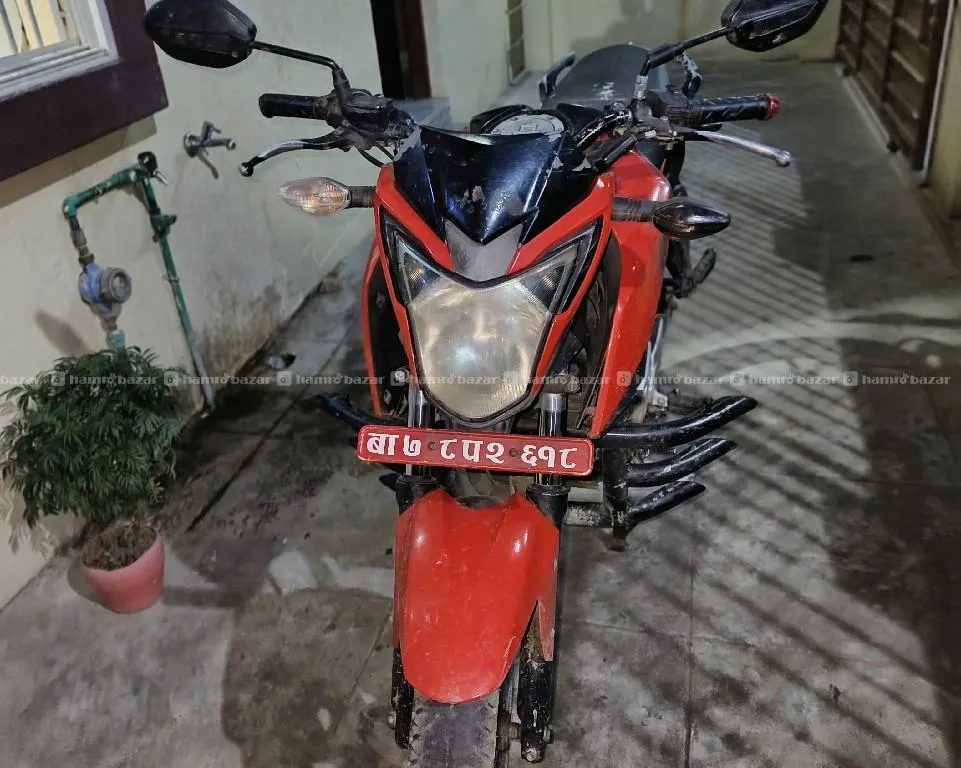 hornet 160 3