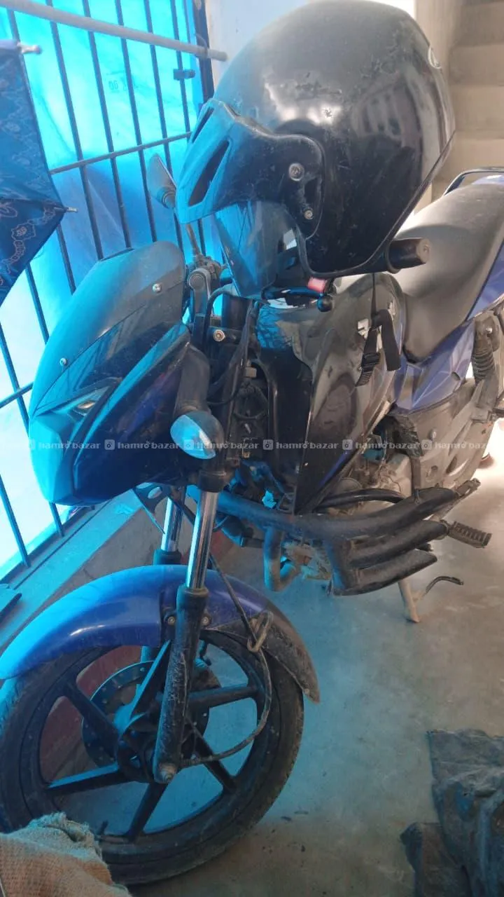 Pulsar 150 CC Used On Sale 3