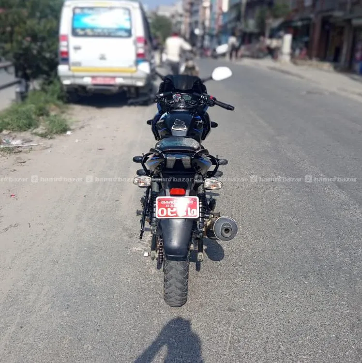 134 Lot 220 Pulsar Abs 4