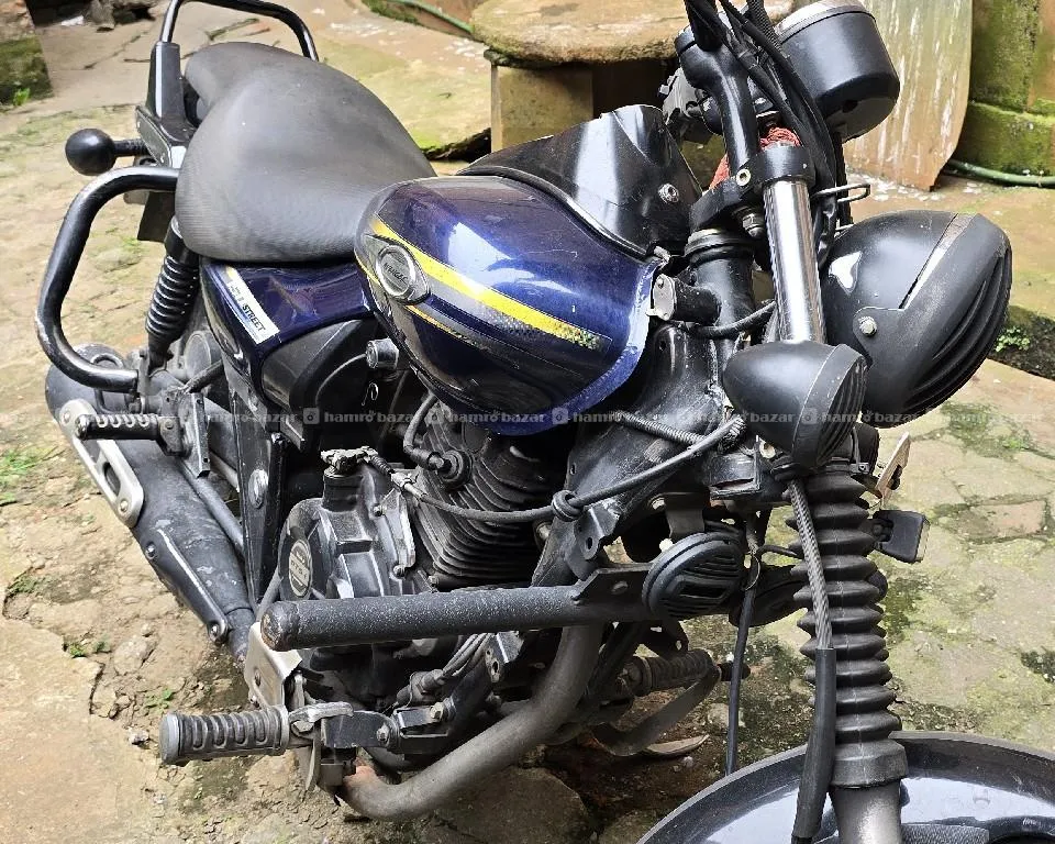 Avenger Street 150 cc bike 3