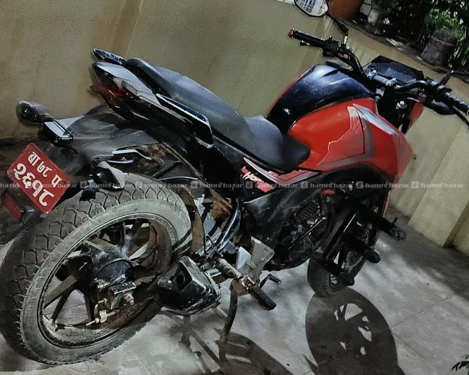 hornet 160 2