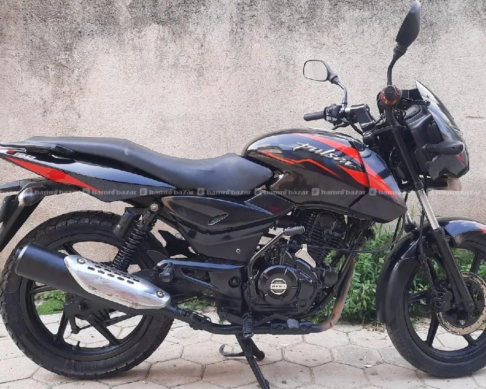 Pulsar 150 Single Disk With New Model Graphic 4