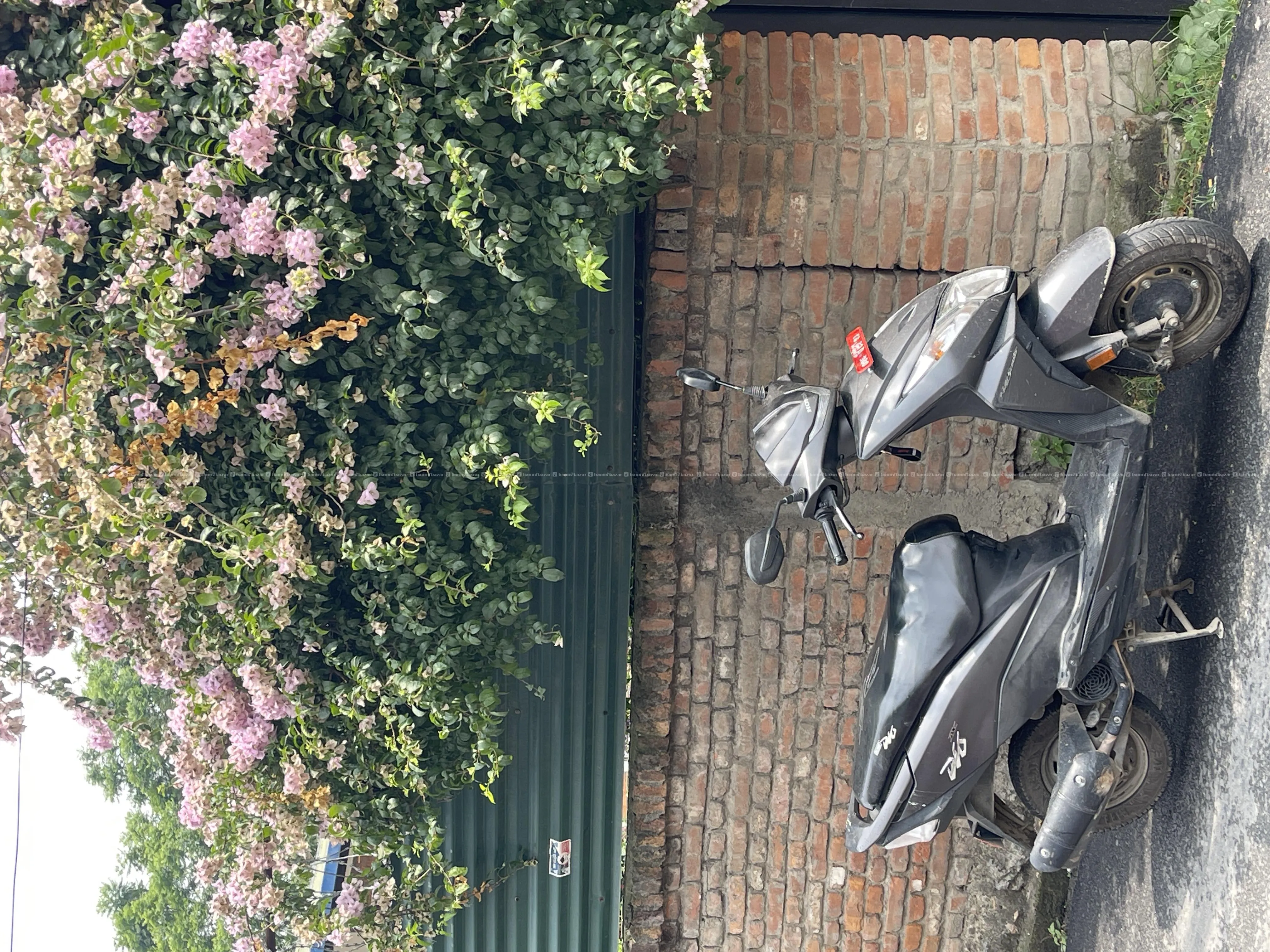 honda dio dx2021 model 4