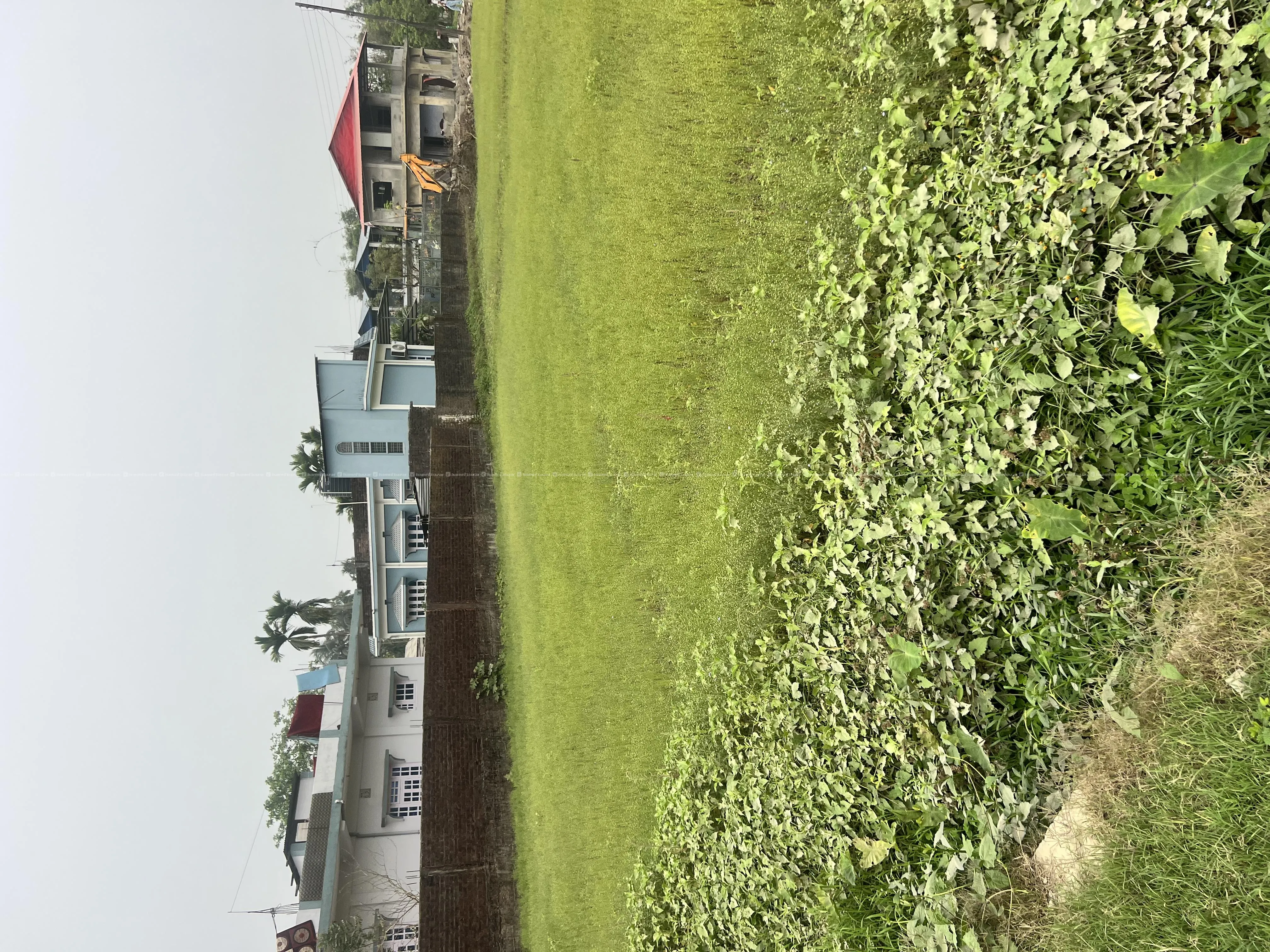55 dhur land for sale, Chndragadi/Bhadrapur 3