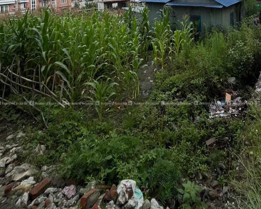 4 Aana For Sale In Budhanikhantha 2