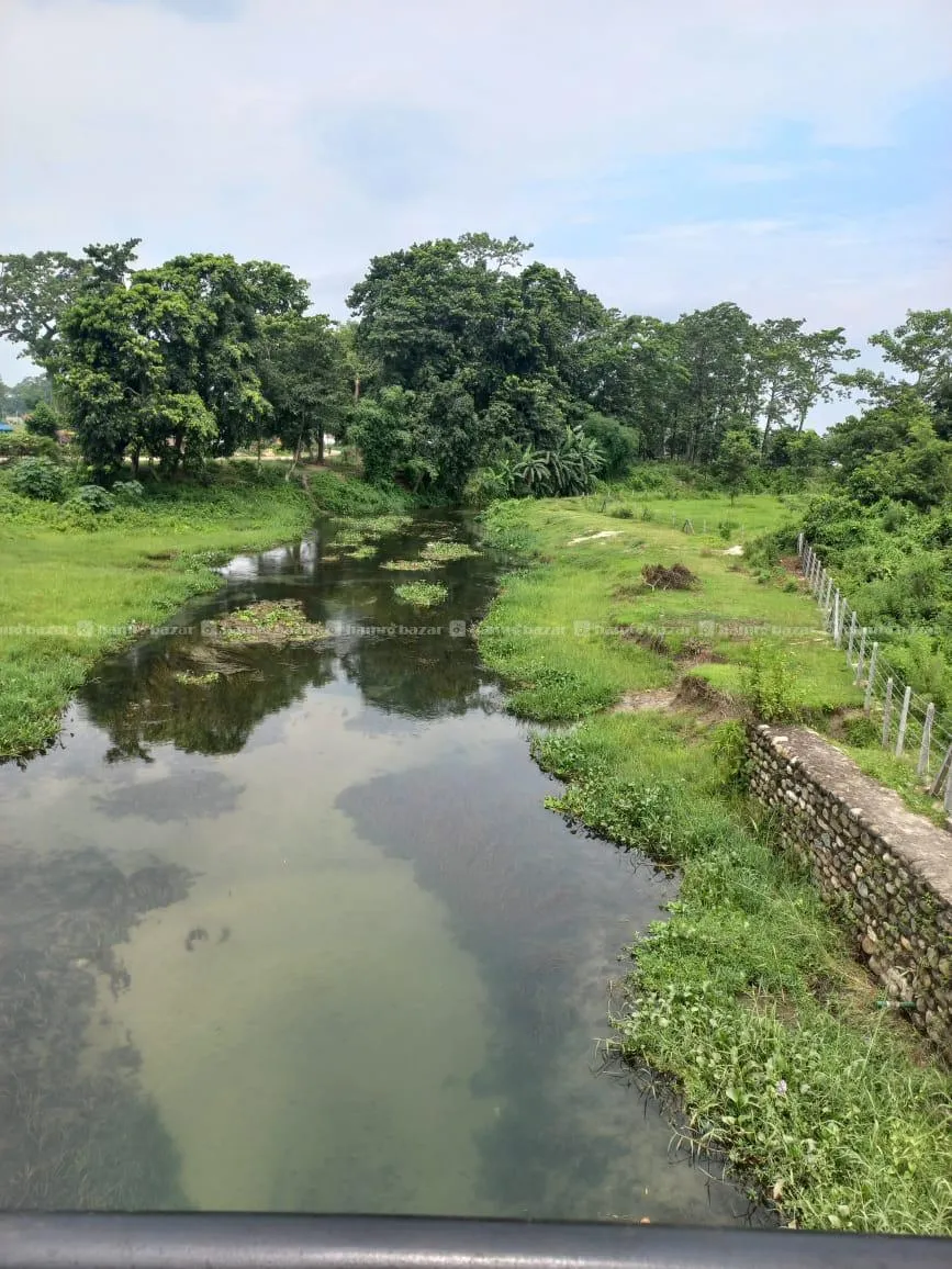 Resort land on sale in Simreni, Sauraha Chitwan. 8