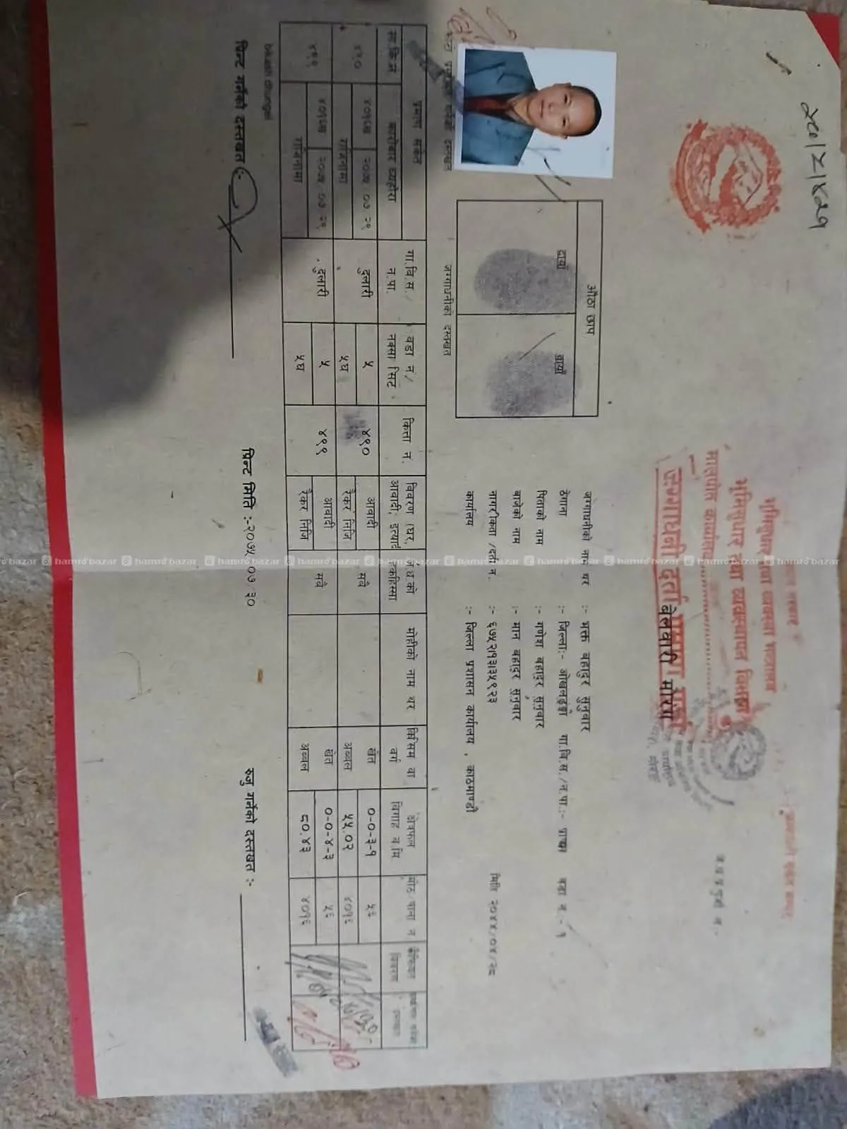 Ghaderi on sale in Dulari-7 Morang 5