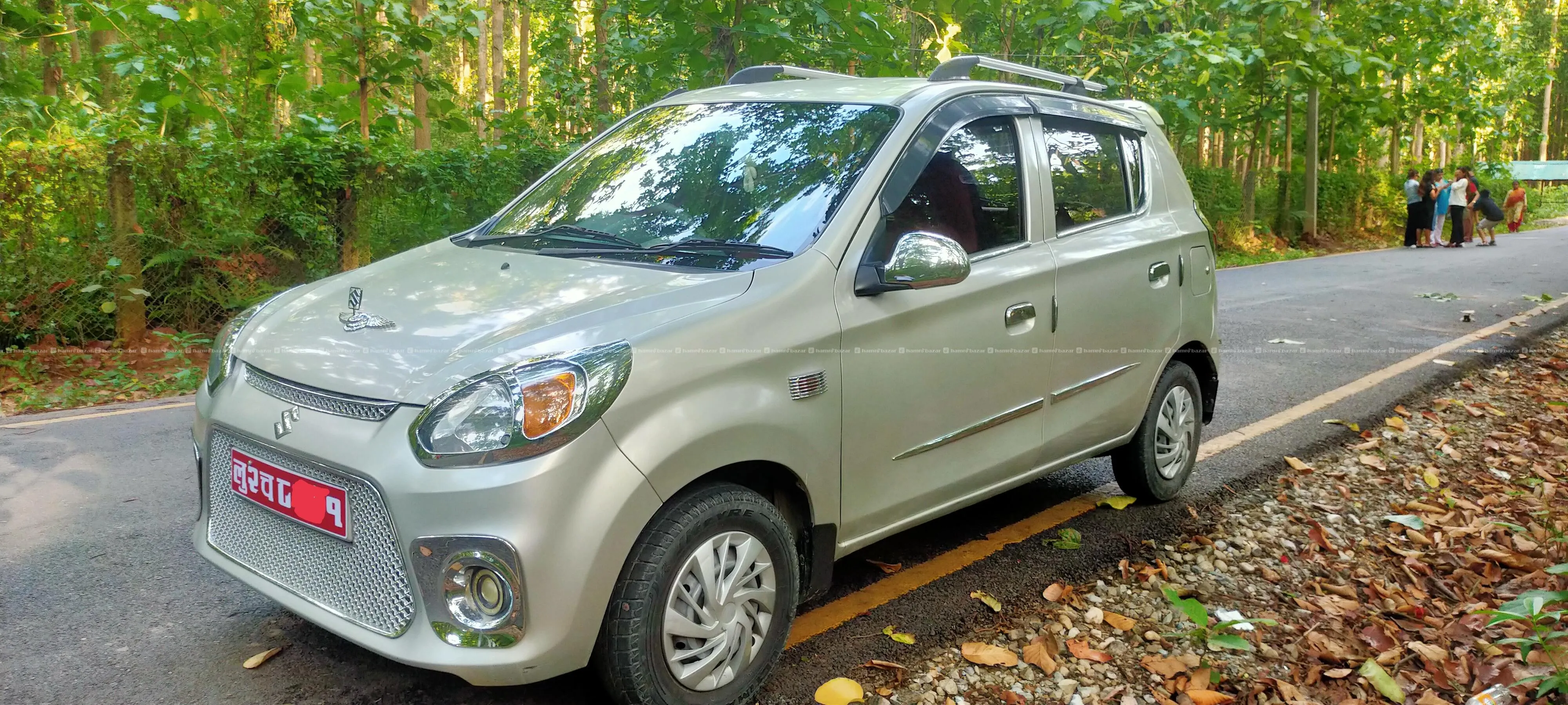 Alto 800 LXI 3