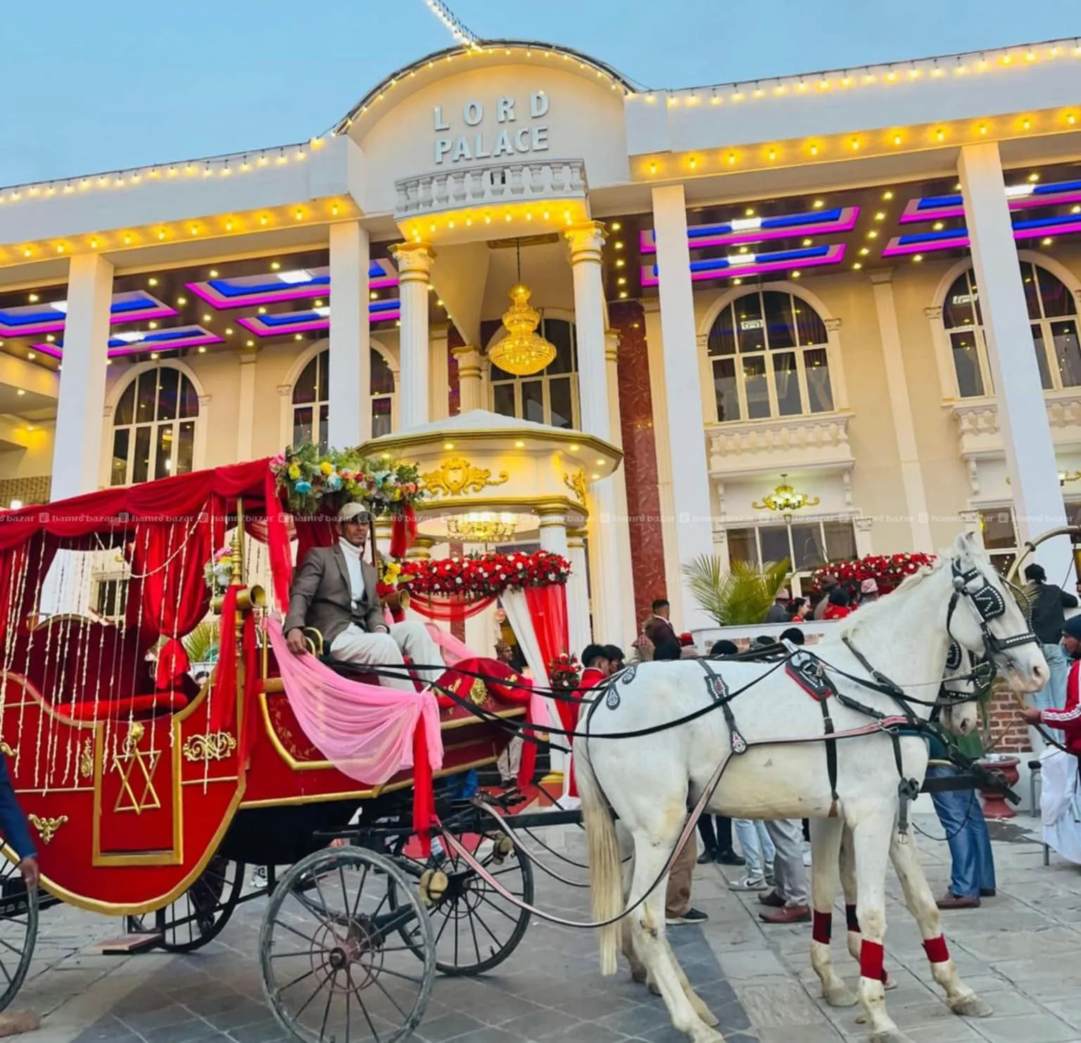 Horse Baggi Rental Service for Wedding Ceremony. 2