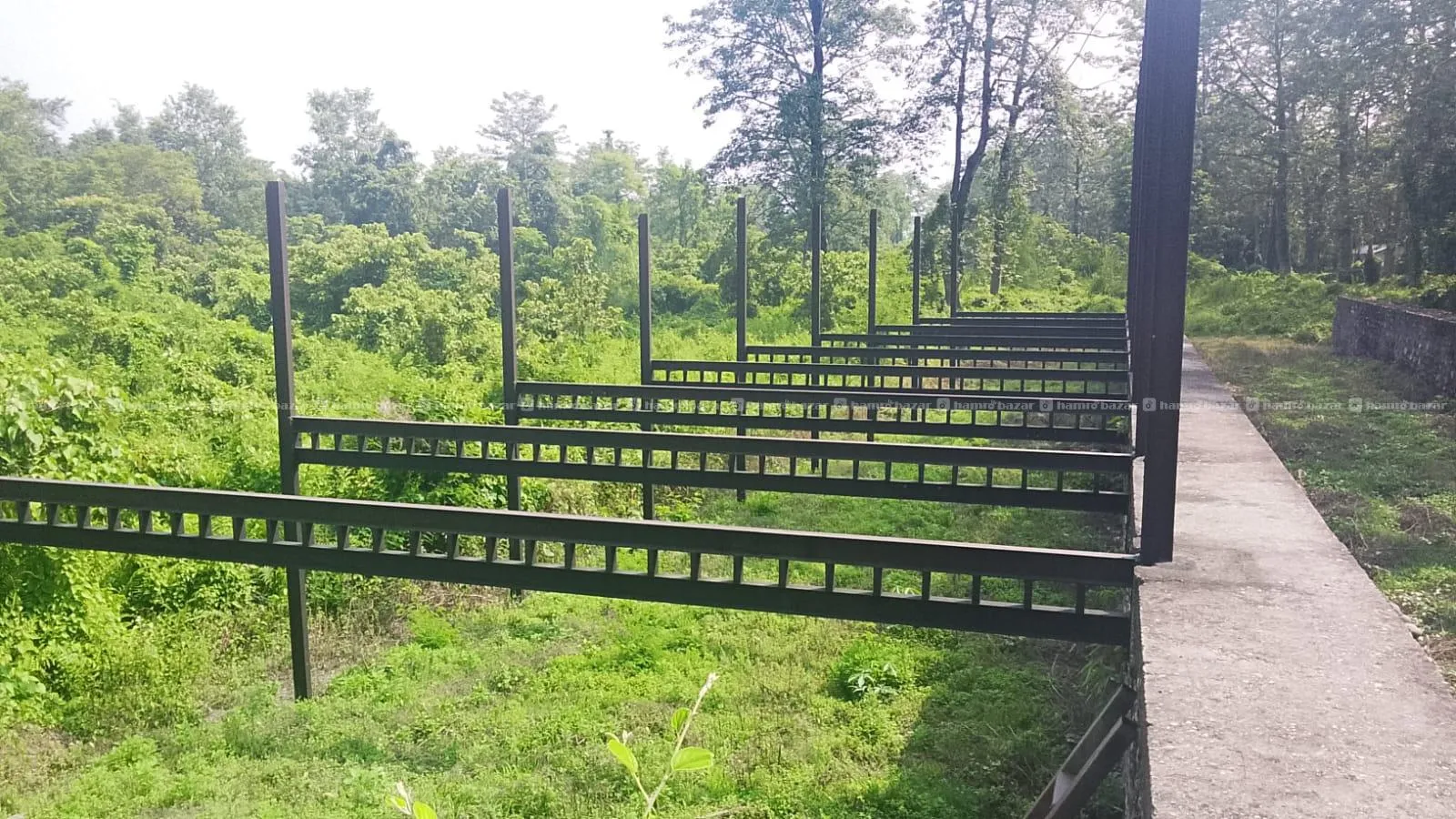 Resort land on sale in Simreni, Sauraha Chitwan. 7