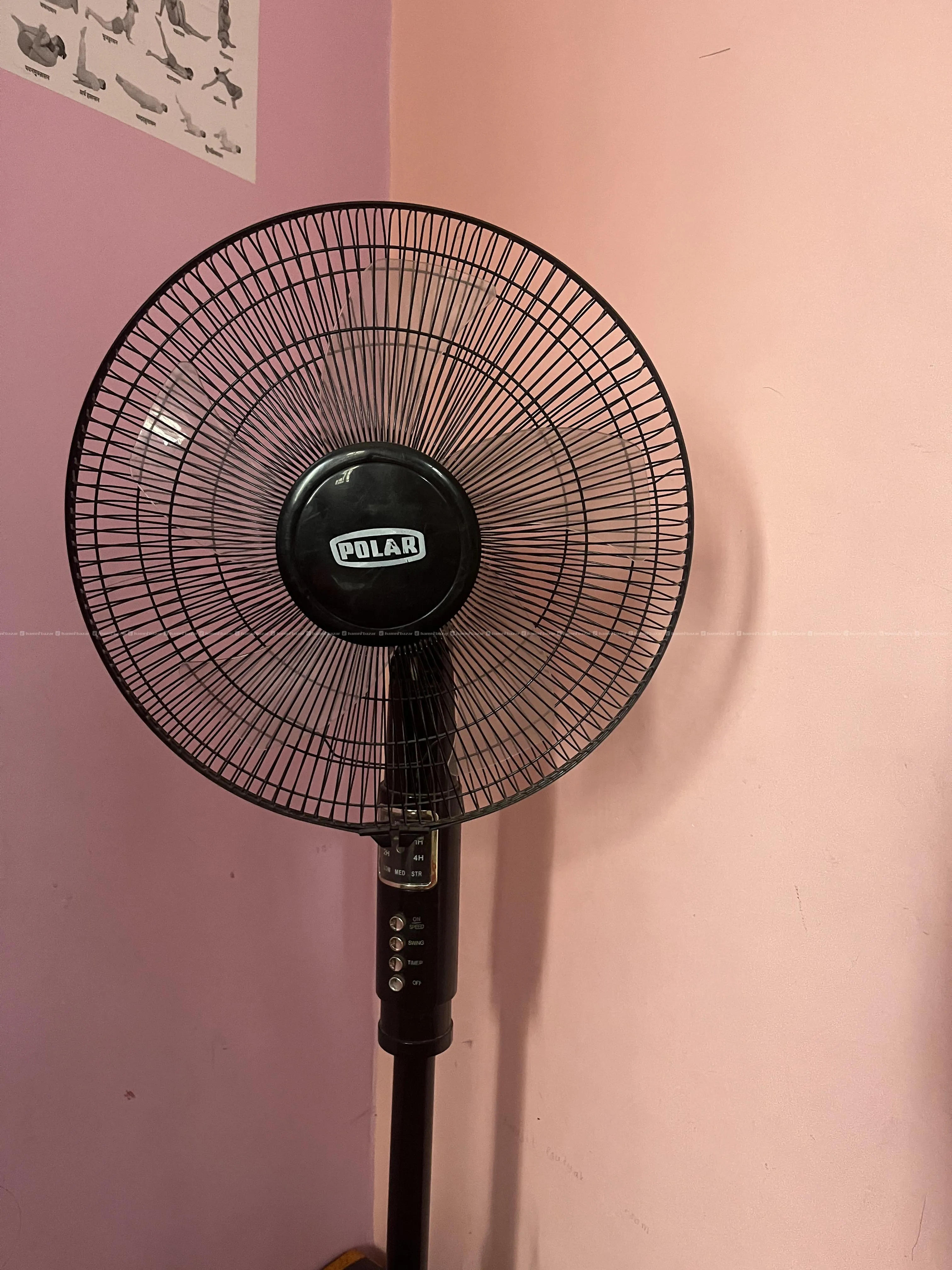 Polar Brand Stand Fan 3
