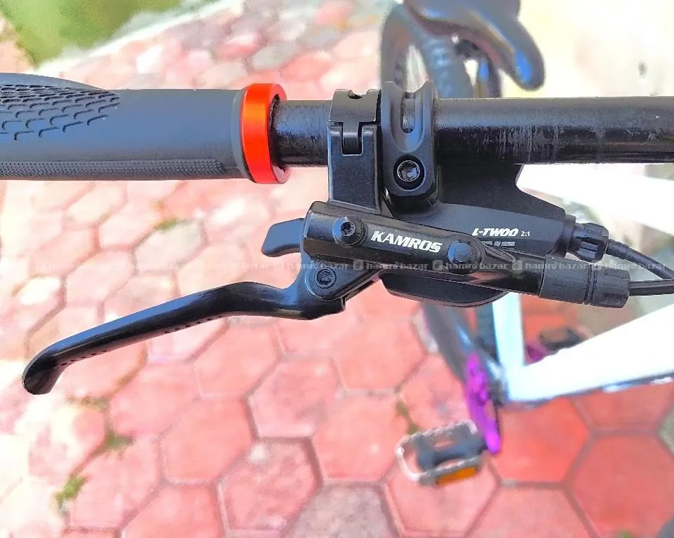 custom cycle 3