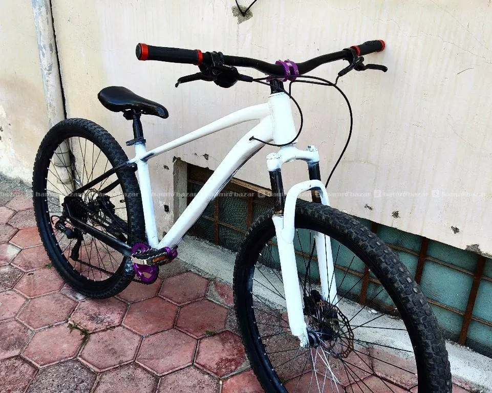 custom cycle 6