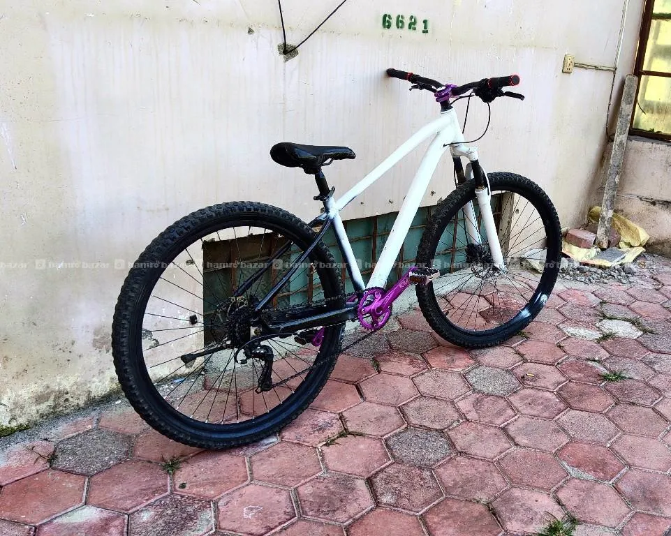custom cycle 5