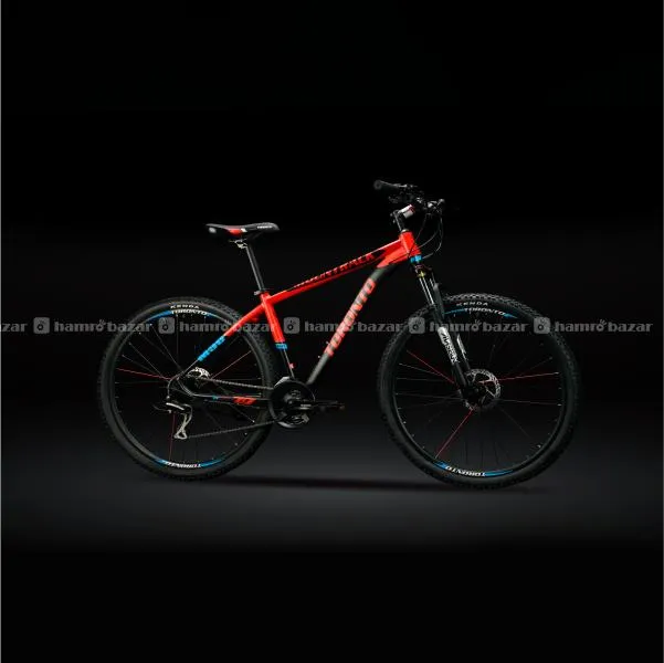 Toronto M30 bike 2