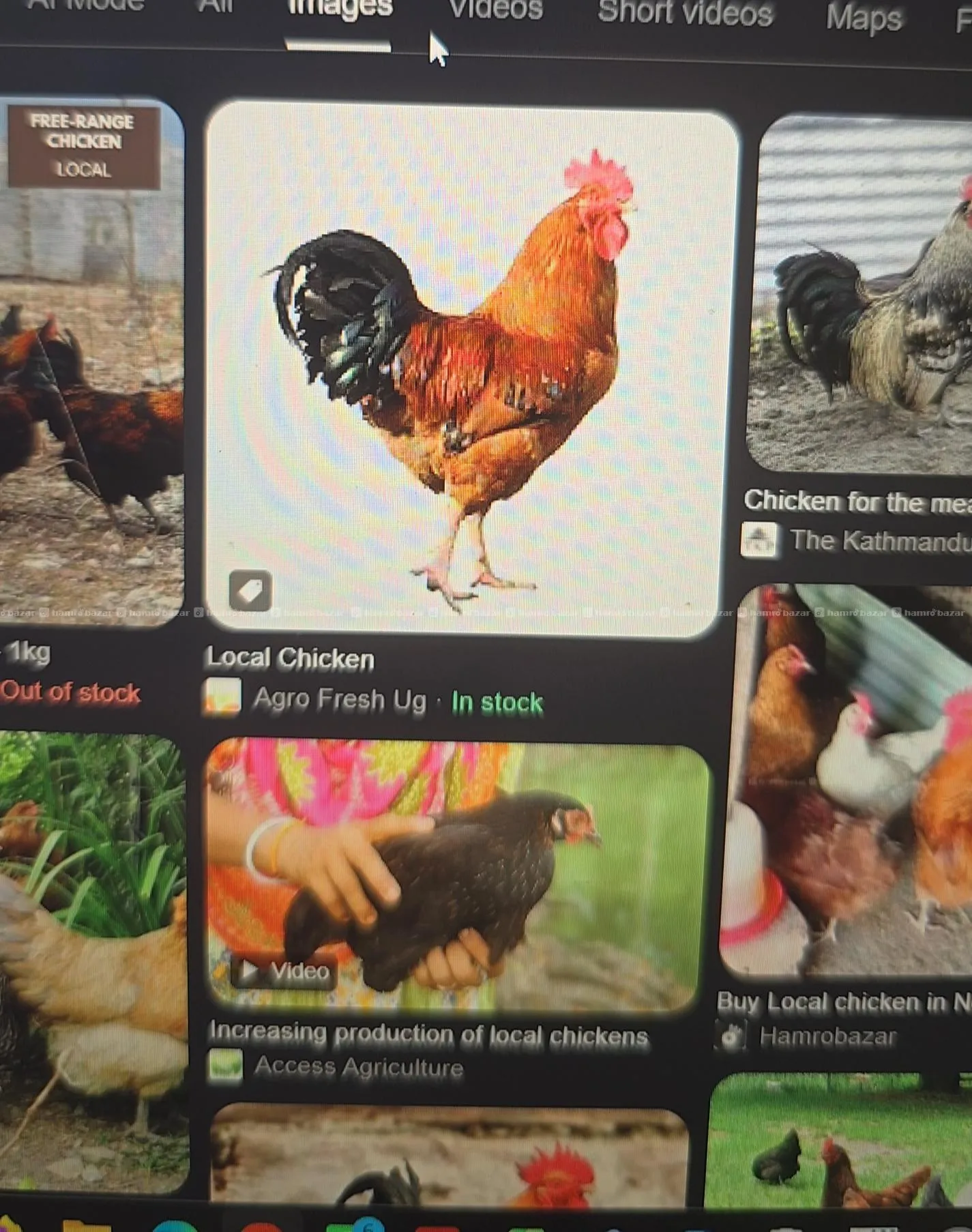 Giriraj kukhura ( chicken ) 2