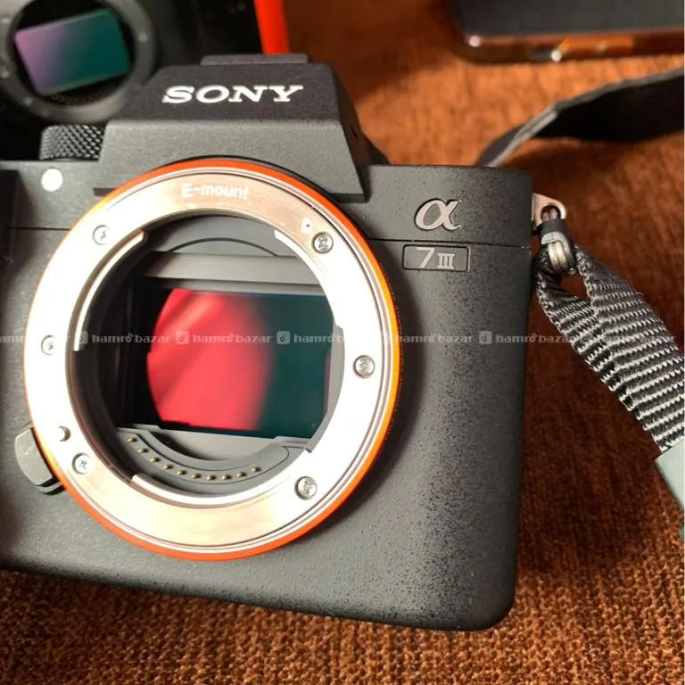 Sony A7iii With Sony 85mm 1.8 2