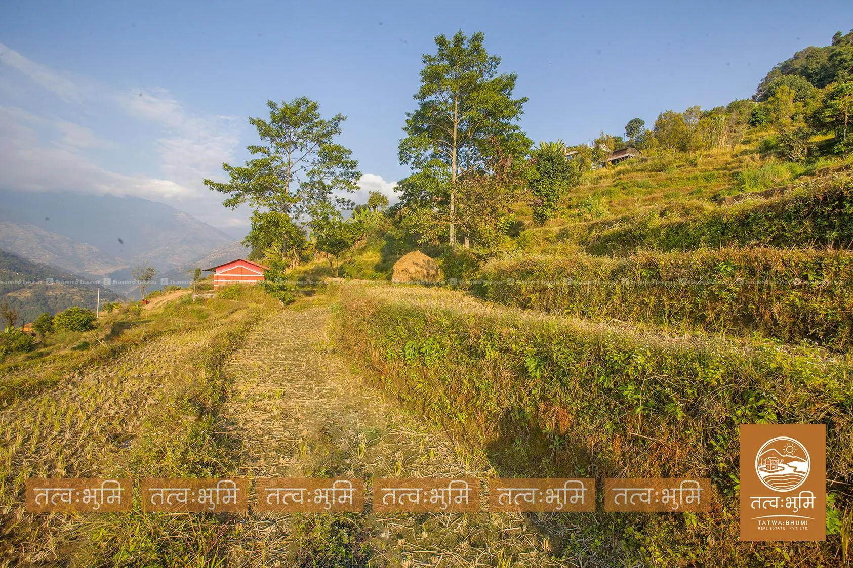7 Ropani land for sale in Kamaregaun - Nuwakot. 6