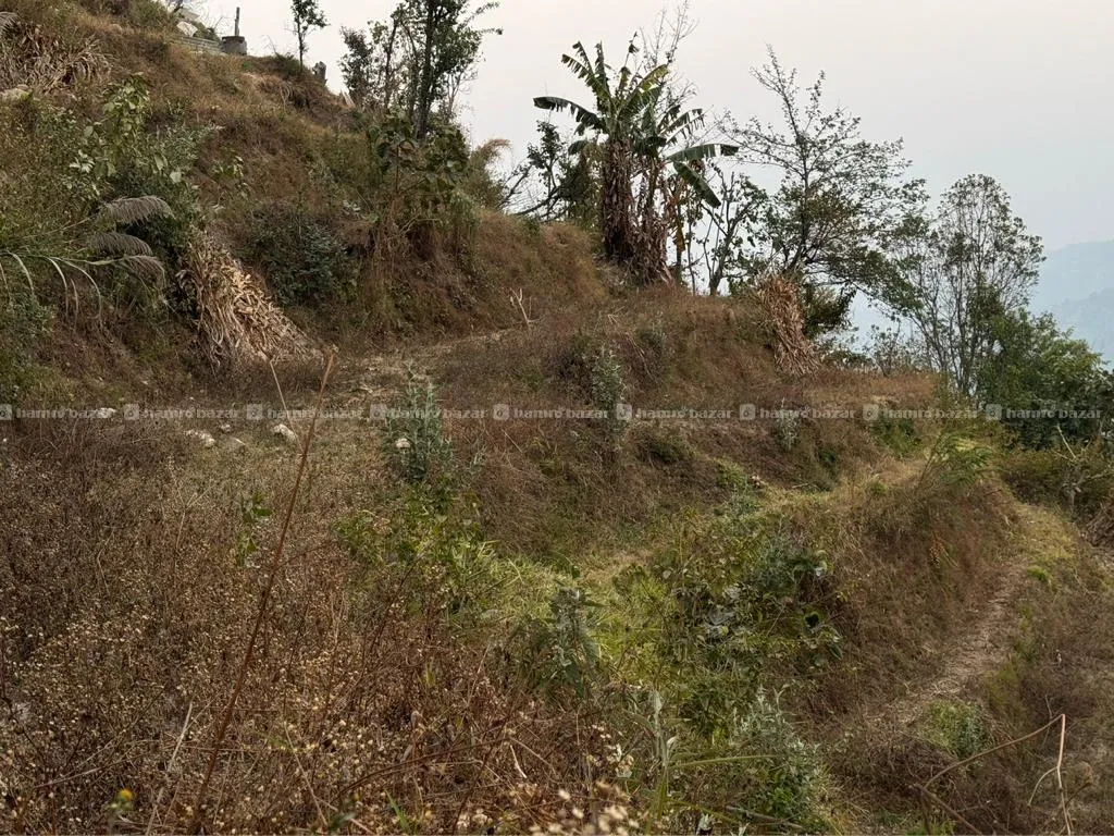 6 Ropani At Dhulikhel For Sale 3