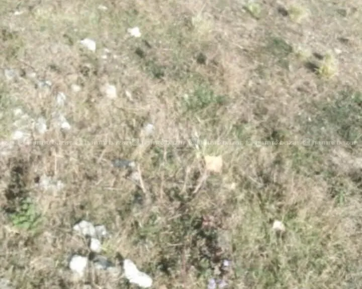 land sell 32 aana