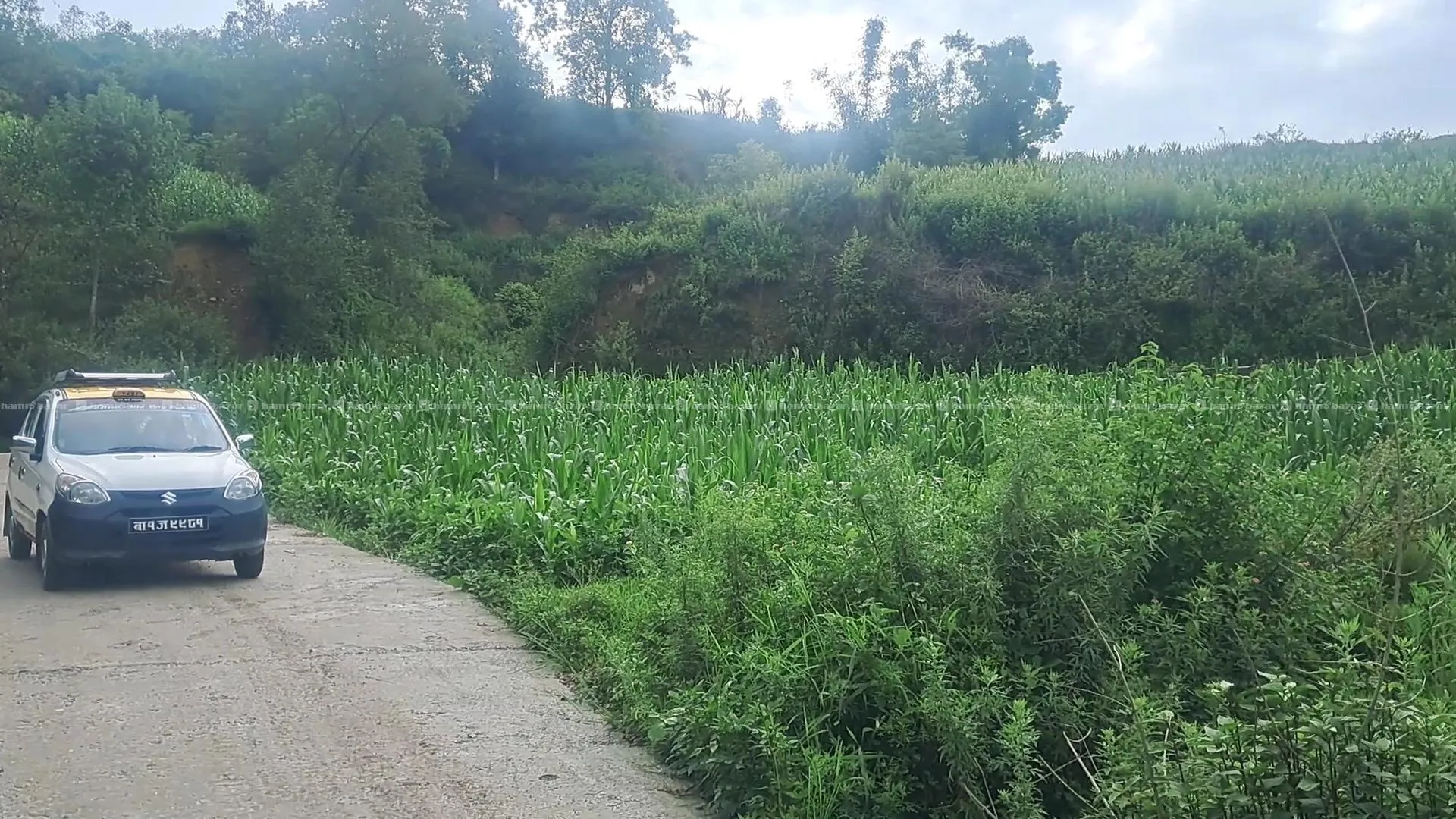1 ropani cheap land for sale in Kathmandu valley 4
