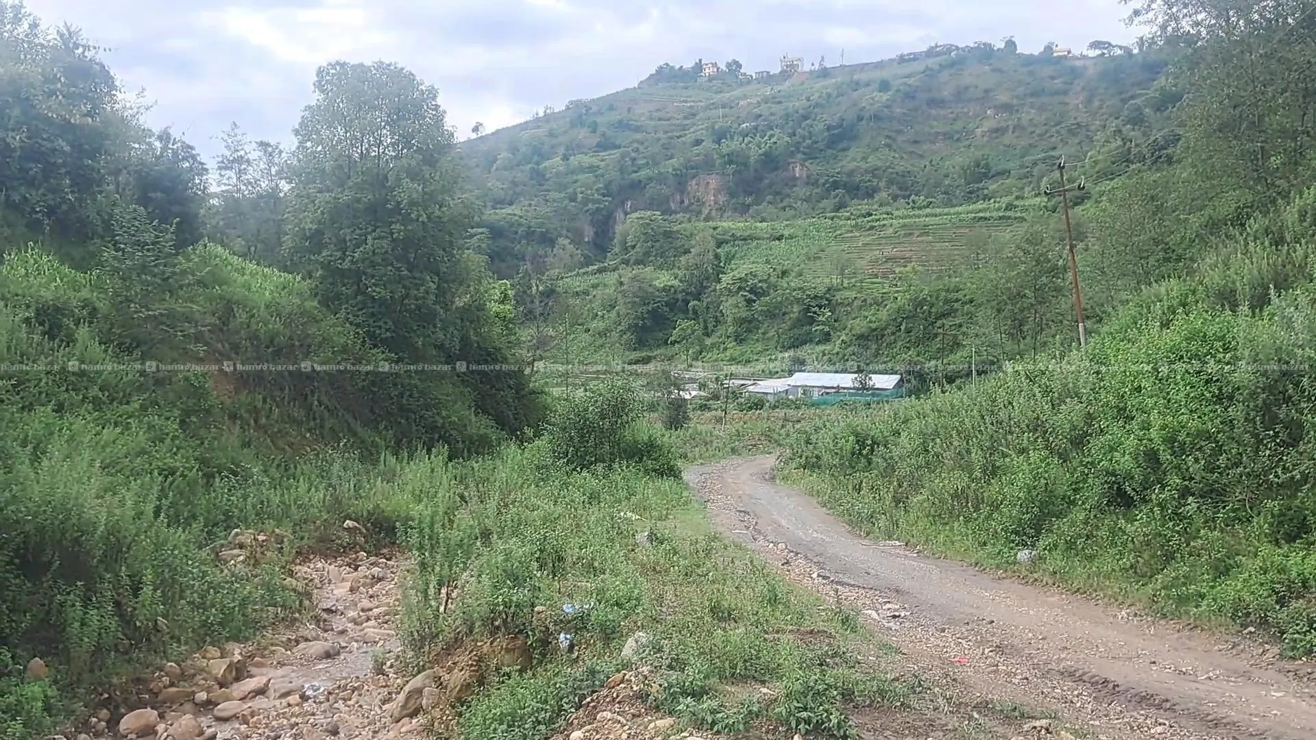 1 ropani cheap land for sale in Kathmandu valley 5